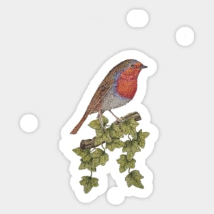 bird illustration of ivy leafs and cute robin Sticker